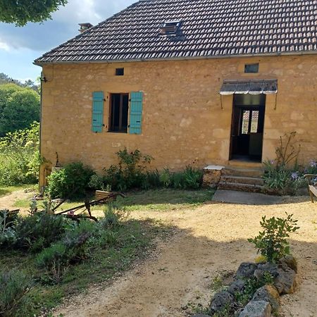 Gites Le Clos De Veyrignac Εξωτερικό φωτογραφία